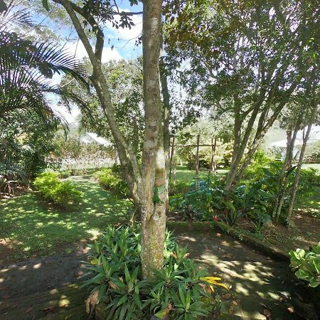 Tribu Ecohostal Los Santos  Kültér fotó