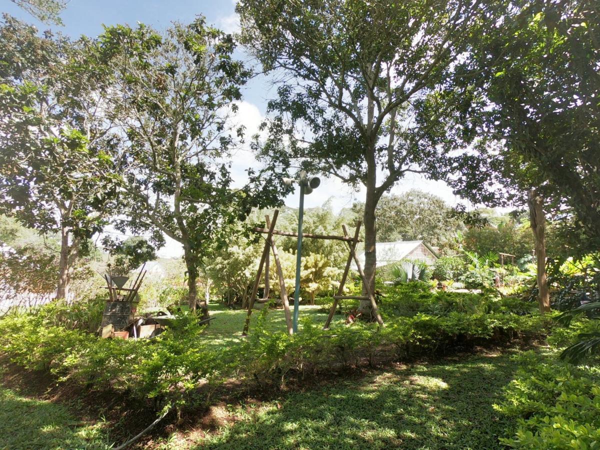 Tribu Ecohostal Los Santos  Kültér fotó