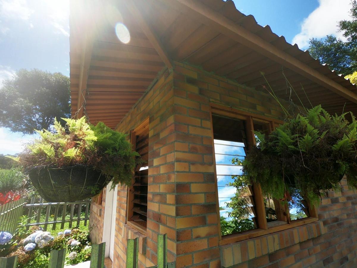 Tribu Ecohostal Los Santos  Kültér fotó