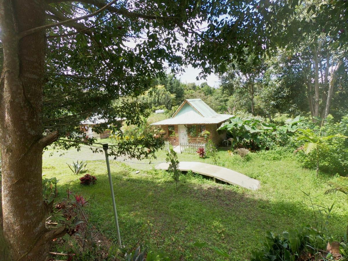 Tribu Ecohostal Los Santos  Kültér fotó