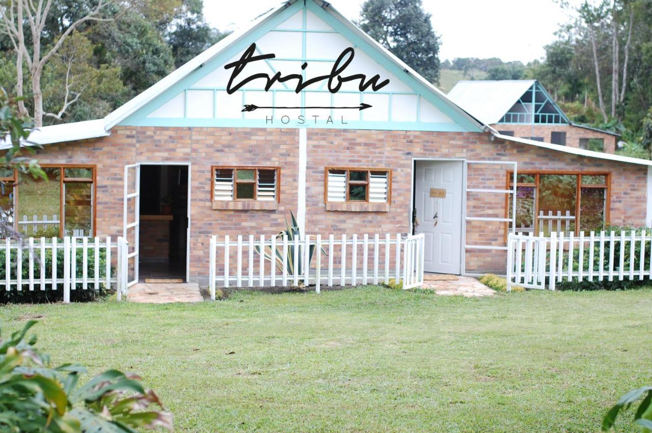 Tribu Ecohostal Los Santos  Kültér fotó