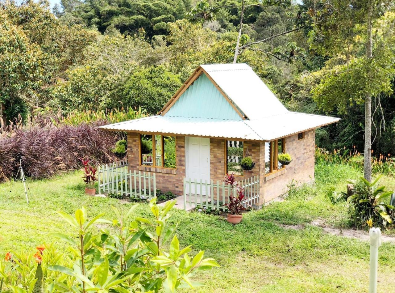Tribu Ecohostal Los Santos  Kültér fotó